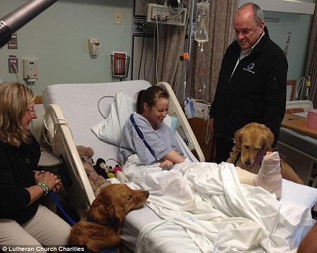 ��ëȮ�鲨ʿ�D��ը��?j��ng)��ߎ�ȥ�g��