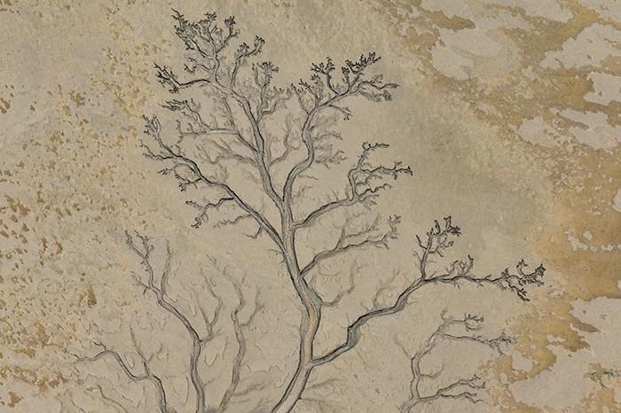 錢(qián)塘江入?？诂F(xiàn)“大地之樹(shù)”景觀