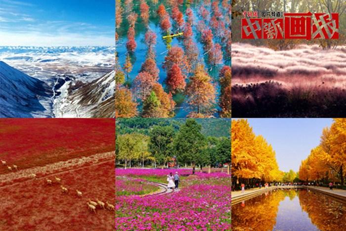 【圖刊】初冬至 大自然多彩冬衣“上新”啦！