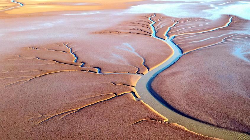 黃河入?？诂F(xiàn)壯美“潮汐樹”