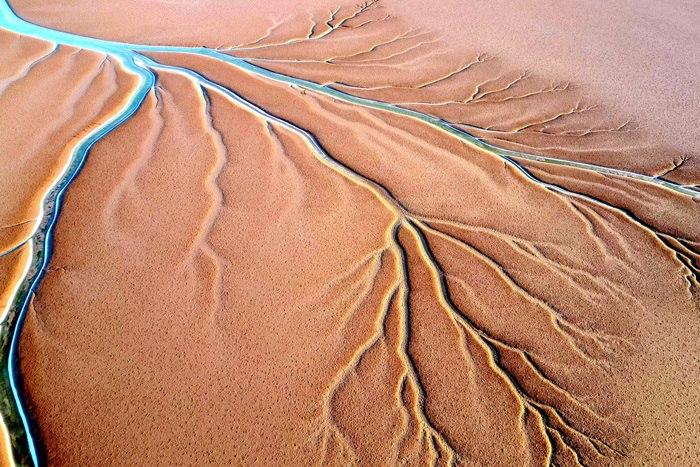 山東東營：黃河入?？诂F(xiàn)“潮汐樹”景觀