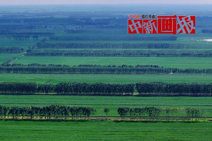 “植”此青綠 “綠色能量”根本收不完！