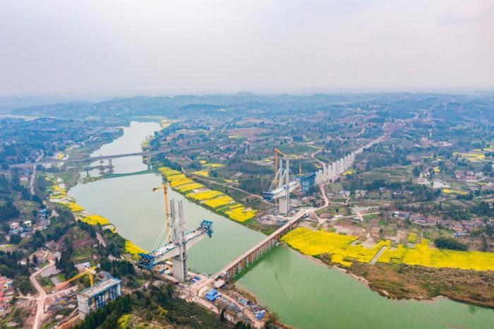 沱江河畔油菜花?！吧暇€(xiàn)”