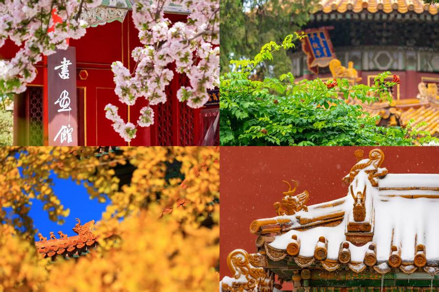 百歲快樂！一組圖領(lǐng)略故宮四季流轉(zhuǎn)之美