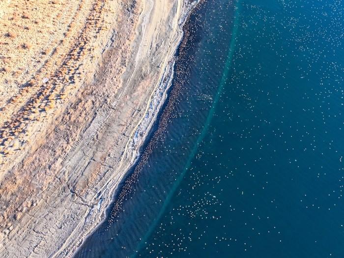 西藏沉錯：羊卓雍錯流域的生態(tài)明珠