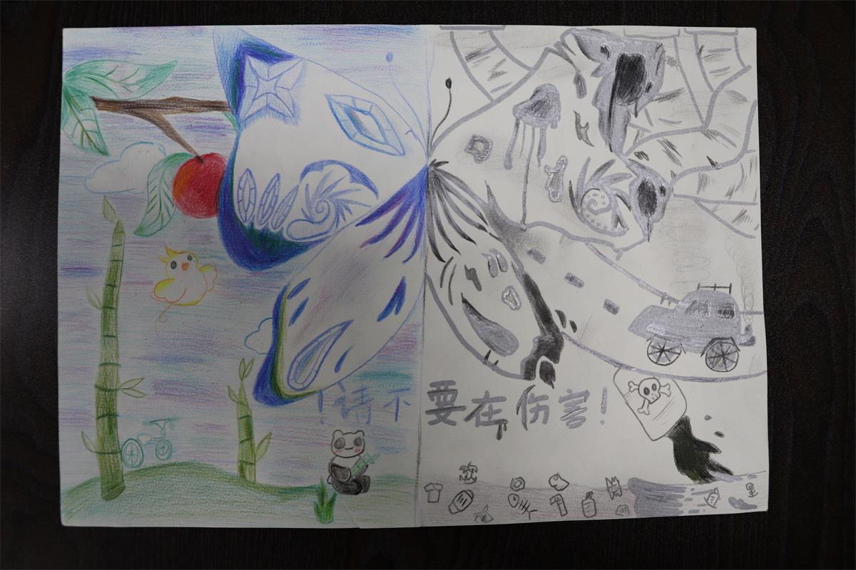 《請不要再傷害！》孫妙然 11歲