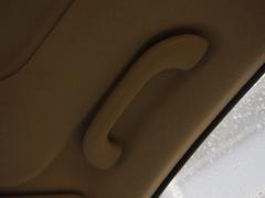 ����(n��i)��ÿ����nϵ܇���w�(y��n)Forte�����