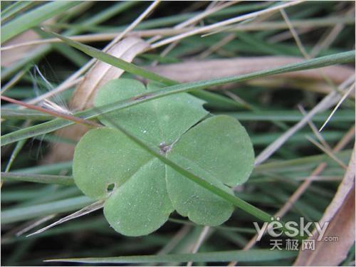 ���������Ҹ� ������H��(zhu��n)�Ô�(sh��)�a���C(j��)���]