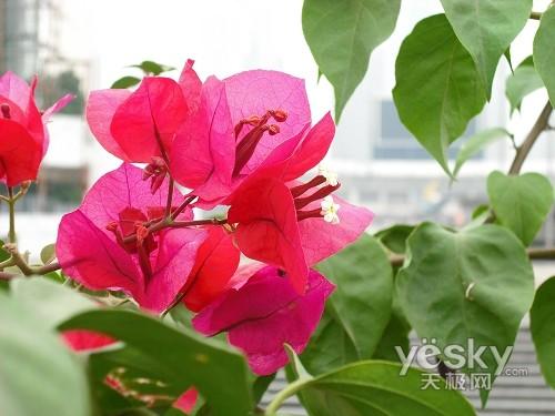 ����߀��Ϧꖼt ʮһ�����������C(j��)�xُ?f��)��]