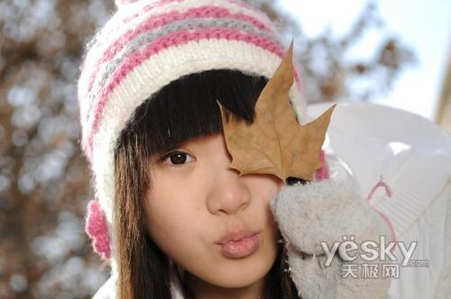 ʮһ���Ό��I(y��)֮�x �Ј����T�η����C���]