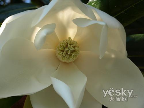 ʮһ���Ό�(zhu��n)�I(y��)֮�x �Ј�(ch��ng)���T(m��n)�η����C(j��)���]