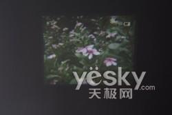 ��D�錦��ǰ���҈D�錦����