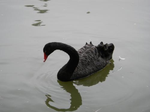 �c���鿴ԭ�D