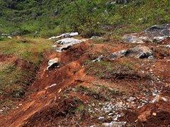 G 500�I(l��ng)㕡���ԇ�{���YȫϵSUV܇(ch��)�� ��܇(ch��)֮��