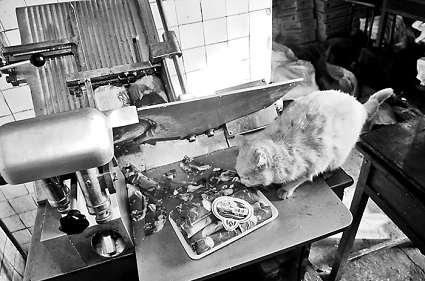 �и�õ���Ƭ�������ϵİ�ɫ��������؈���f����������Ƭ��ؓ(f��)؟(z��)�и���Ƭ��Ů�Ӵ󲿷֕r(sh��)��ҕ����Ҋ(ji��n) ���M�DƬ ����(b��o)ӛ�� ���� �z