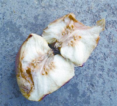 �������O(p��ng)�� ��������ĭ