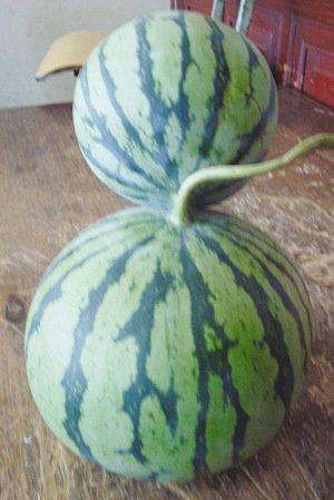 ���K���]���F(xi��n)��Ҋ�B�w����(�D)