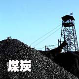 ú̿�ɺ�׃�G���M(j��n)��̼�r��