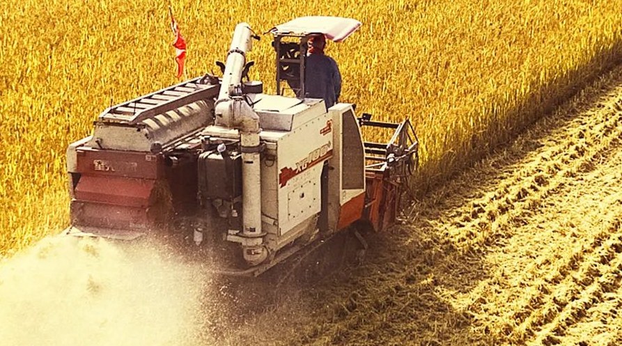 “察實情、辦實事、求實效”，這十句話，振奮人心！