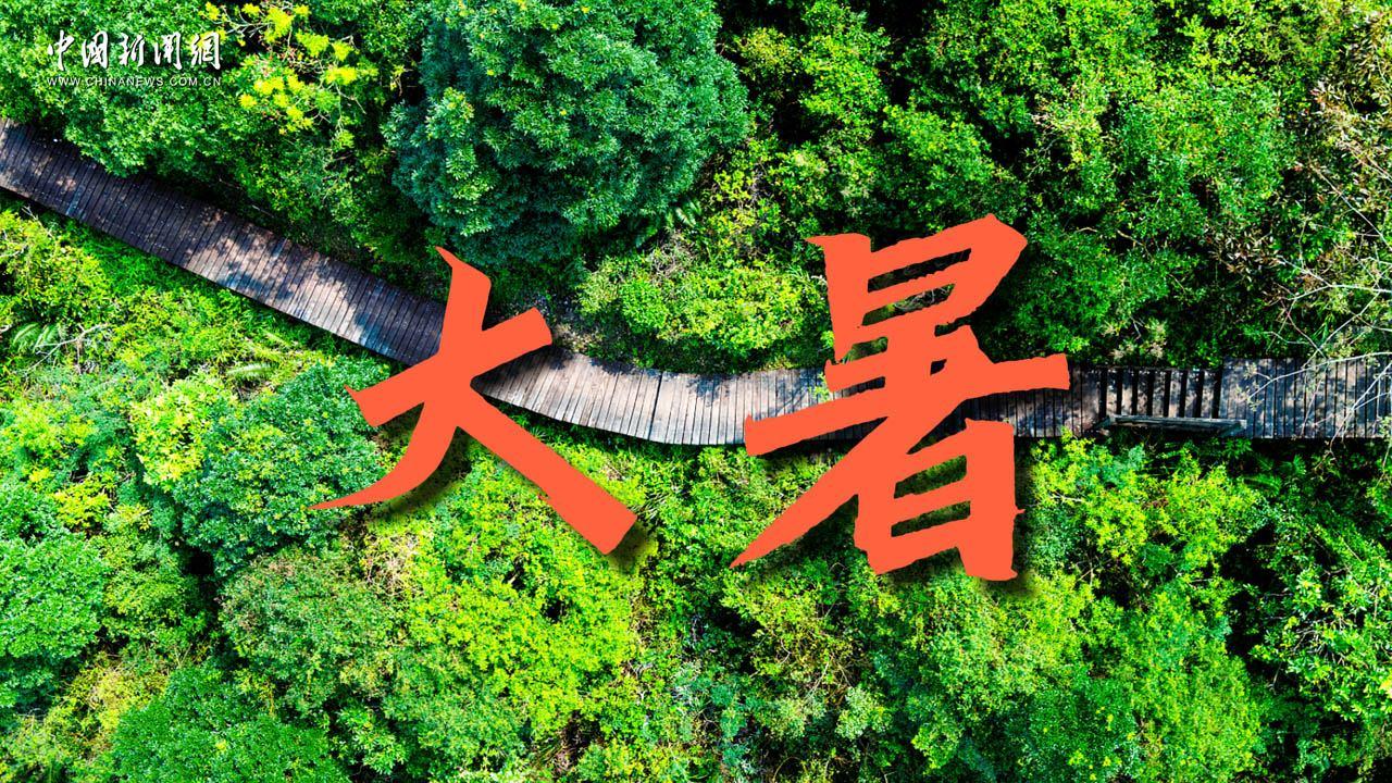 大暑：蟬鳴喚清風(fēng) 萬物豐盈綠意濃