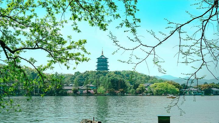 江山如此多嬌 | 西湖美景，八月天吶