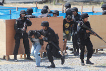 ���壺�����e�_չ���|(zh��)�������