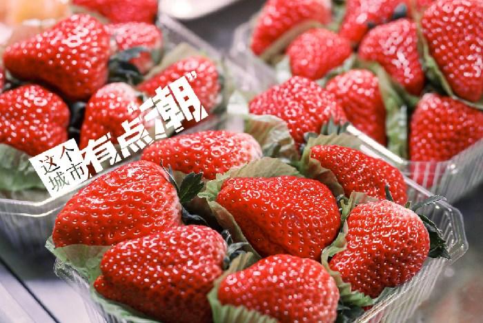 丹東：這一口鮮甜，開啟冬日“莓”好時光