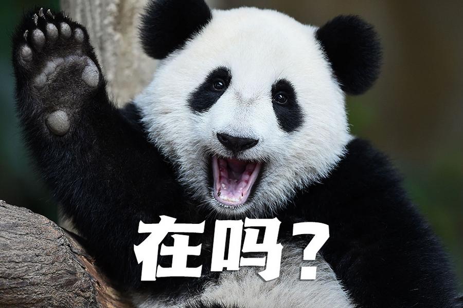 【世界微笑日特刊】嘿嘿，今天你笑了嗎？