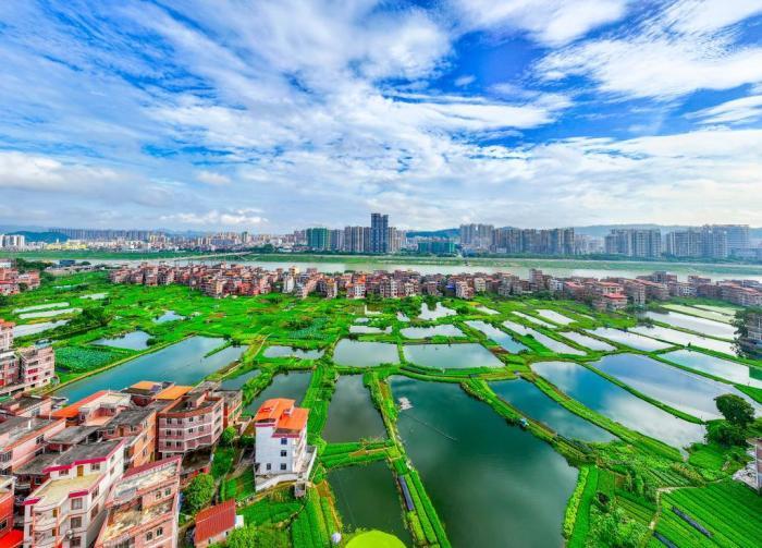 廣西梧州：仲夏城鄉(xiāng)美如畫(huà)